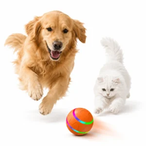 Interactive Cat Toy